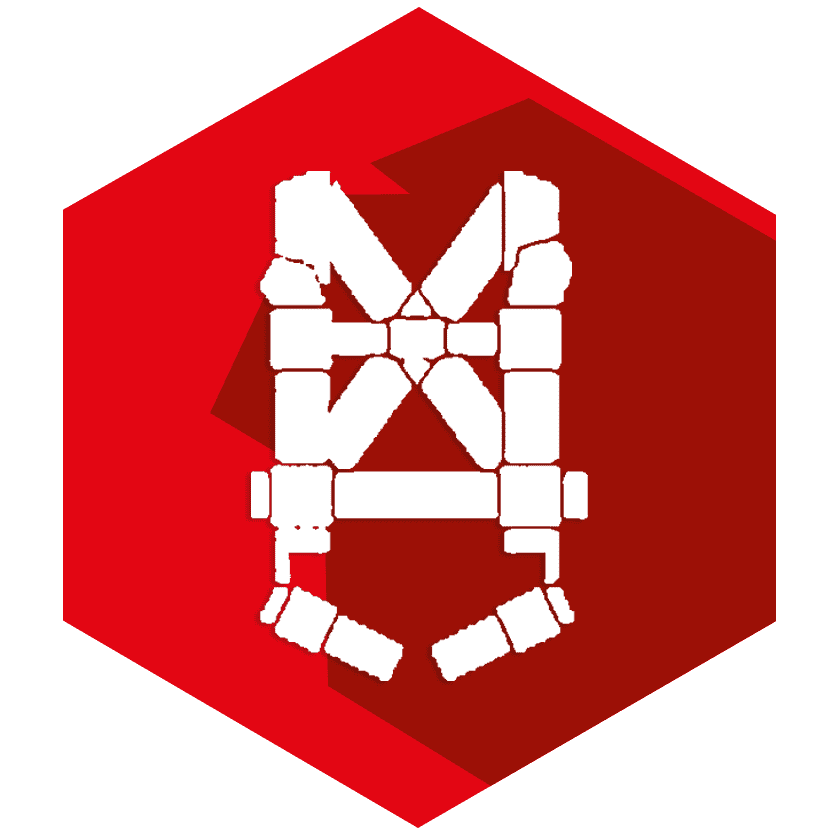 Formation au Port du Harnais de Sécurité